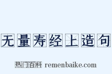 无量寿经上造句是什么意思的图片